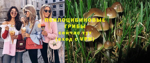 шишки Карталы