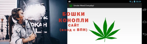 шишки Карталы