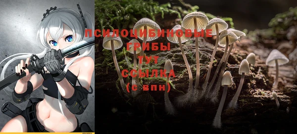 mdpv Касимов